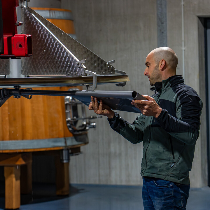 Bild Weinlese_25_k-51.jpg