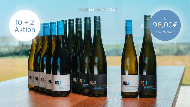  10 plus 2 Rieslingpaket / Weingut Nauerth-Gnägy / Schweigen-Rechtenbach