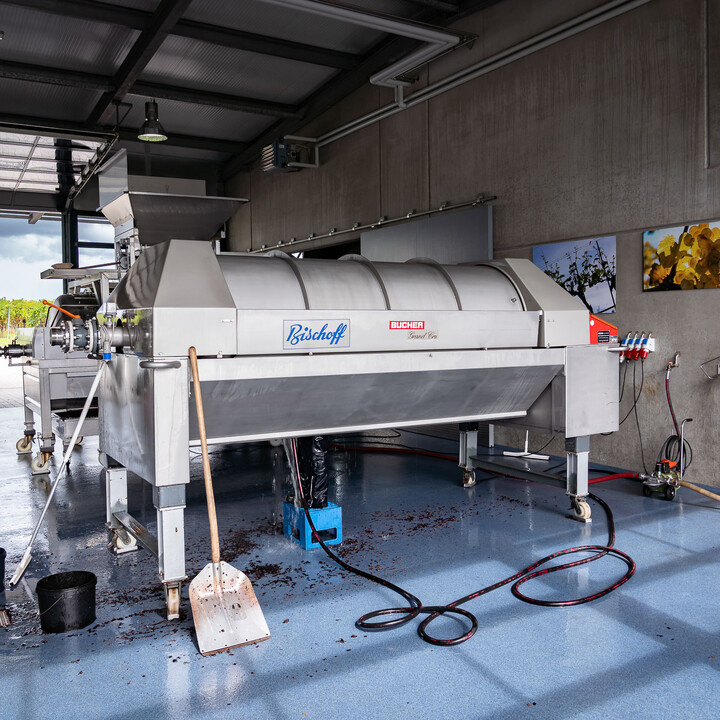 Bild Weinlese_25_k-36.jpg