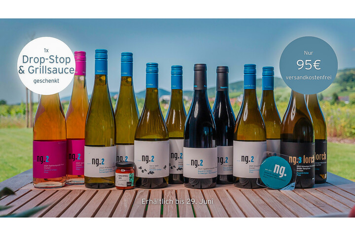 großes Sommerpaket / Weingut Nauerth-Gnägy / Schweigen-Rechtenbach