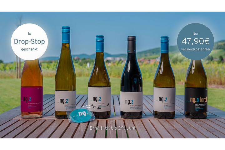 kleines Sommerpaket / Weingut Nauerth-Gnägy / Schweigen-Rechtenbach