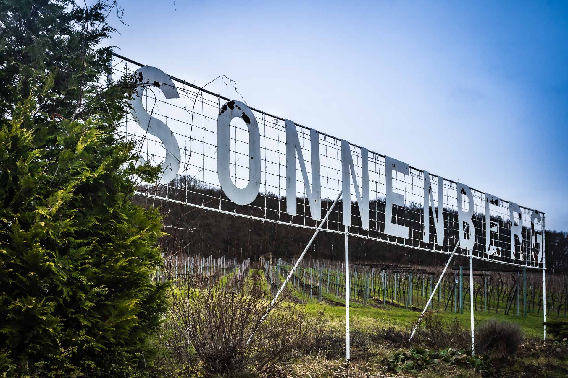 Bild 0 Sonnenberg Blaufränkisch trocken